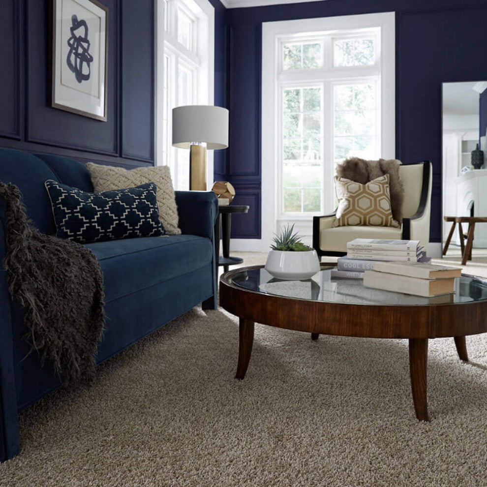 Serenade Indoor Shag Area Rug Carpet Collection, Chelsea Fog, 4x10