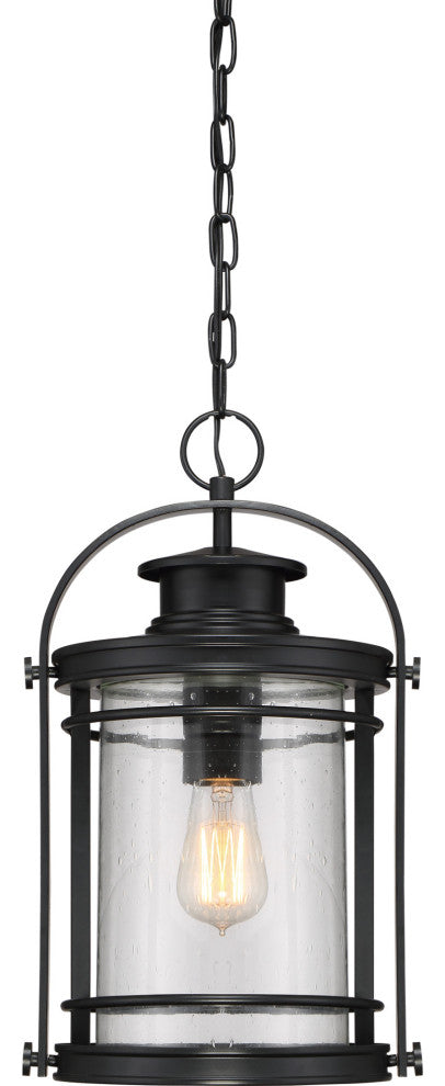 Quoizel BKR1510 Booker 9"W Pendant - Mystic Black