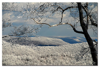 'Winter Scene' Canvas Art by Lois Bryan
