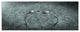 Fungus on Leather Surface, Landscape Canvas Art Print, 70"x28", 6 Panels