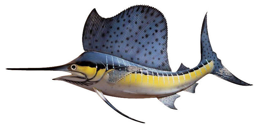 Key West Trophy Sailfish