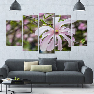 Beautiful Magnolia Flowers, Large Floral Canvas Art Print, 60"x32", 5 Panels