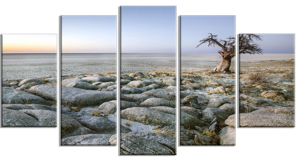 Baobab Tree on Rocky Terrain, Large Landscape Canvas Art, 60"x32", 5 Panels