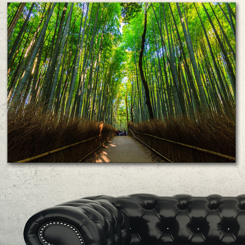 Road through Dense Bamboo Groves, Large Landscape Canvas Art, 60"x28"