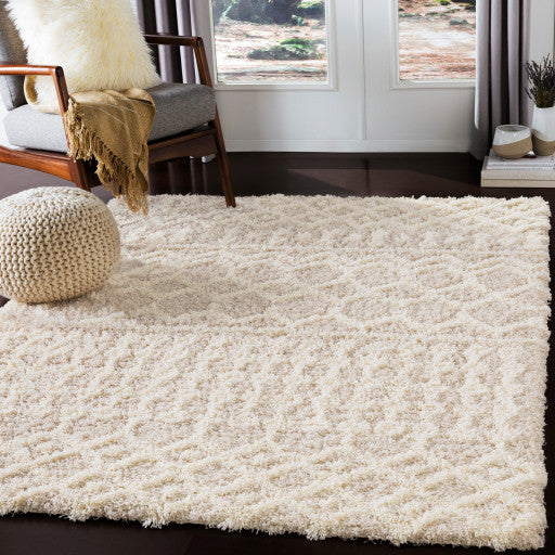 Surya Urban Shag USG-2303 6'7" Square Rug, Cream/Beige