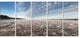 "Autumn Hoarfrost on Grass" Landscape Print Wall Artwork, 5 Panels, 60"x28"