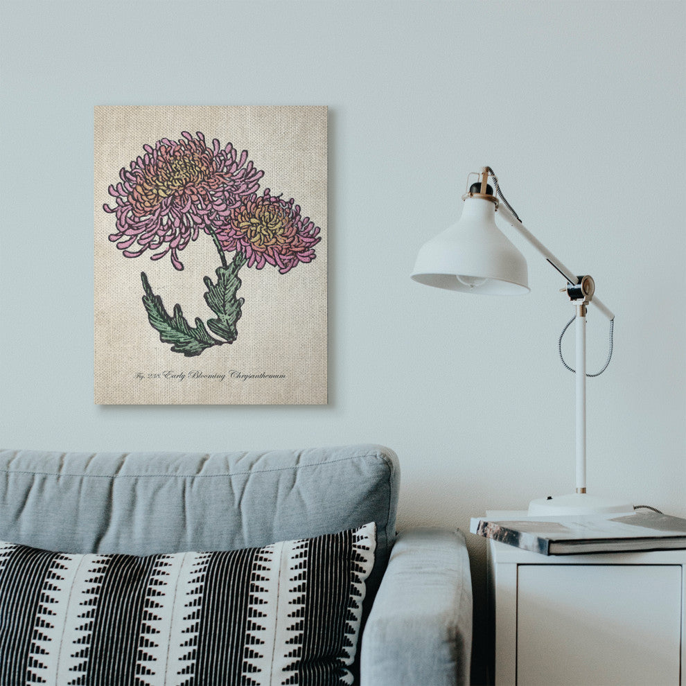 Botanical Chrysanthemum Flower Drawing Pink Yellow Design, 24"x30", Canvas Art