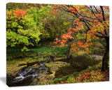 Fall Trees in Bright Colors, Landscape Canvas Art Print, 40"x30"