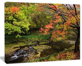 Fall Trees in Bright Colors, Landscape Canvas Art Print, 40"x30"