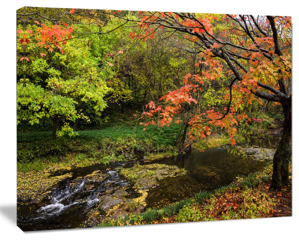 Fall Trees in Bright Colors, Landscape Canvas Art Print, 40"x30"