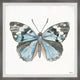 "Ocean Blue Shade Butterfly" Framed Painting Print, 24"x24"