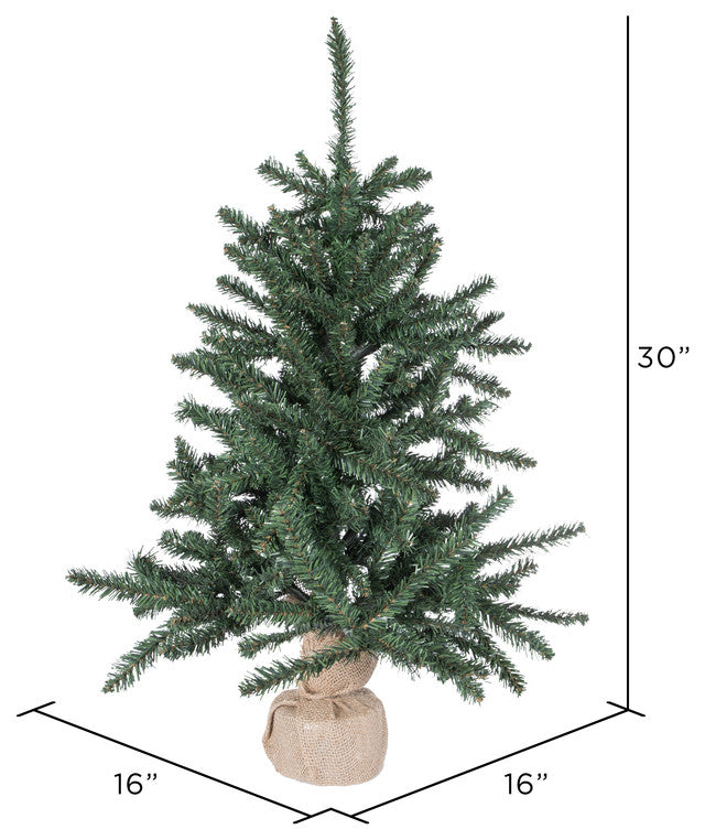 30" Anoka Pine W/Burlap Base 172T