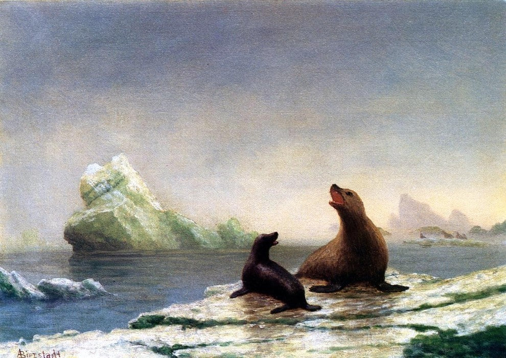 Albert Bierstadt Seals, 18"x27" Wall Decal