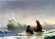 Albert Bierstadt Seals, 18"x27" Wall Decal