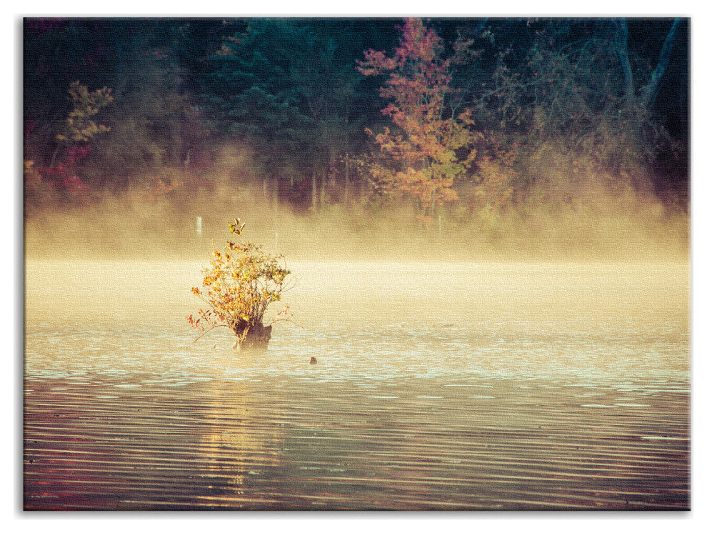 Golden Mist on Waples Pond Rural Landscape Photo Canvas Wall Art Print, 12" X 16"