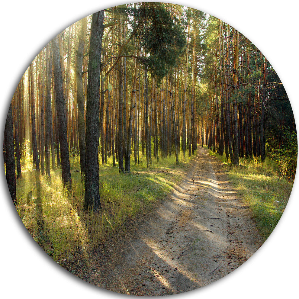 Road Through Green Pine Forest, Landscape Round Metal Wall Art, 11"