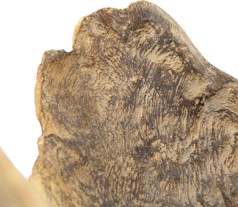 Wooden Sculpture, Small