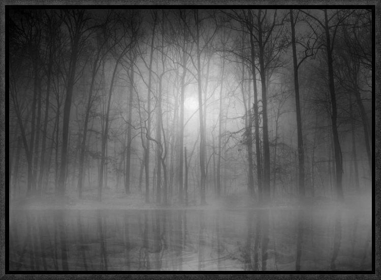 "Morning Mist" Framed Canvas Giclee by Bethanne Lutz, 17x12"