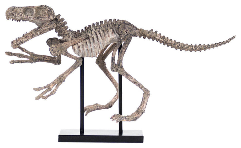 Dinosaur Skeleton