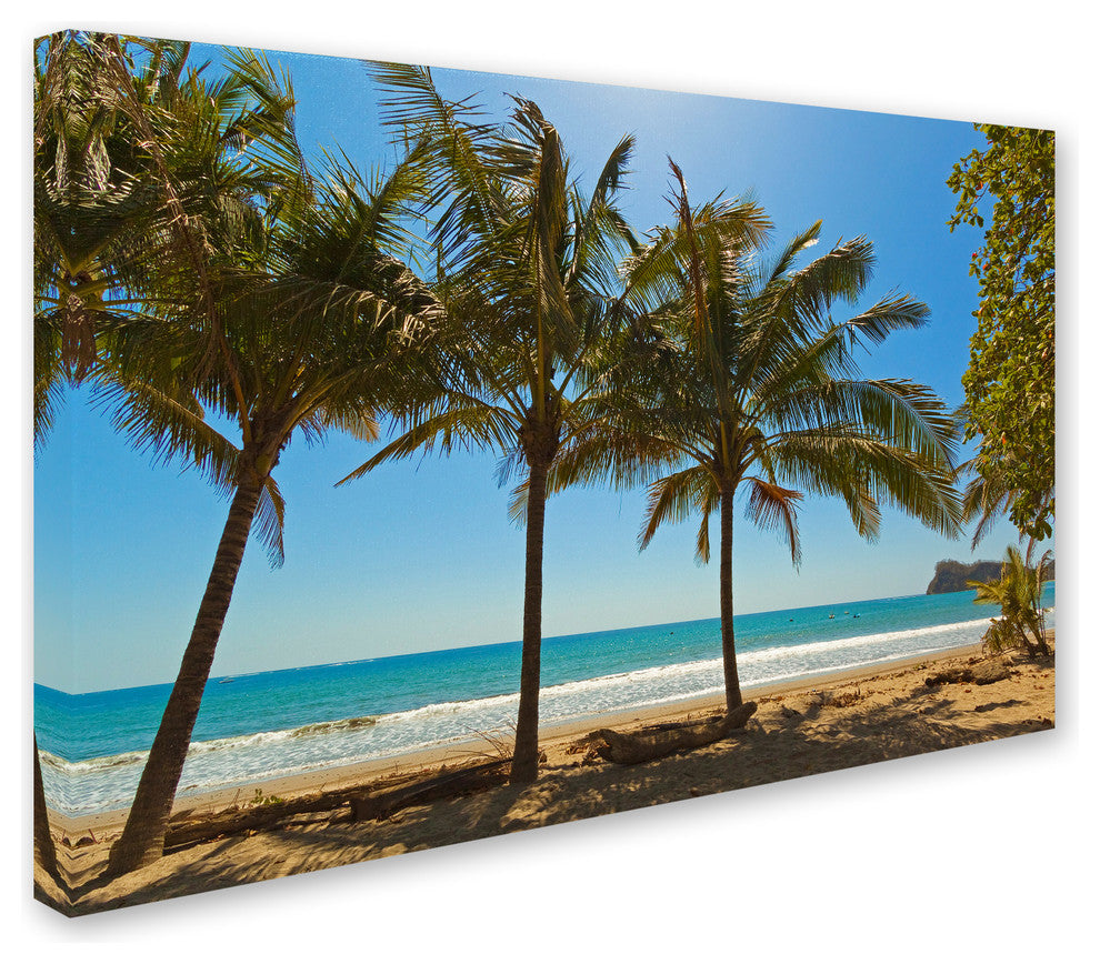 "Palm Trees 2" by Robert Harding Picture Library, Canvas Art, 22"x32"