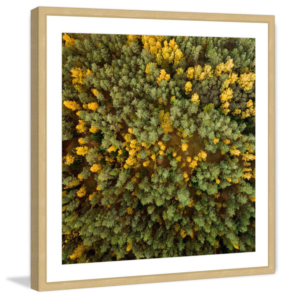 "Yellow and Green Trees" Framed Print by Karolis Janulis