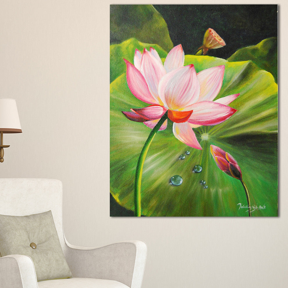 "Lotus and Water Drops" Canvas Print