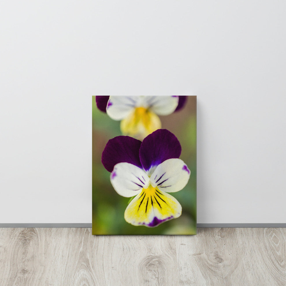 Pretty Little Violets Floral Nature Photography Canvas Wall Art Print, 12" X 16"