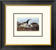 "Barnacle Goose (decorative border)"  by John James Audubon, 20x18"