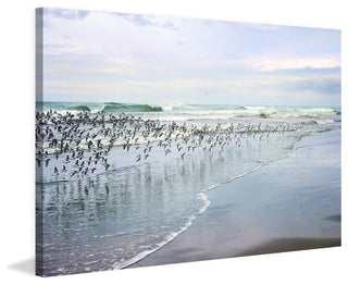 "Sea Birds" Painting Print on Wrapped Canvas