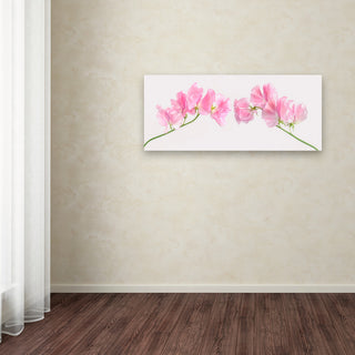 Cora Niele 'Two Sweet Peas' Canvas Art