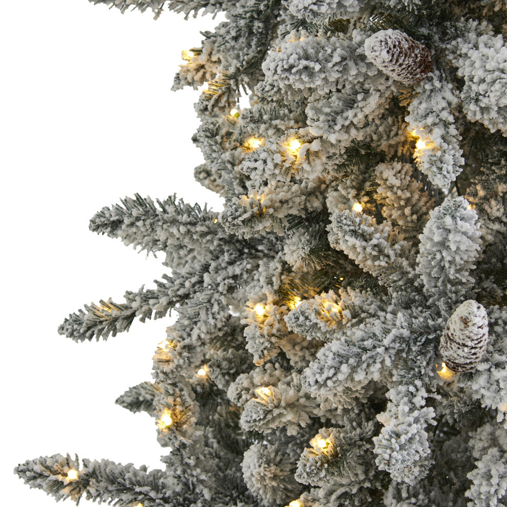 7.5ï¿½ Flocked Livingston Fir Christmas Tree/ Pine Cones/500 Clear Warm LED Lights