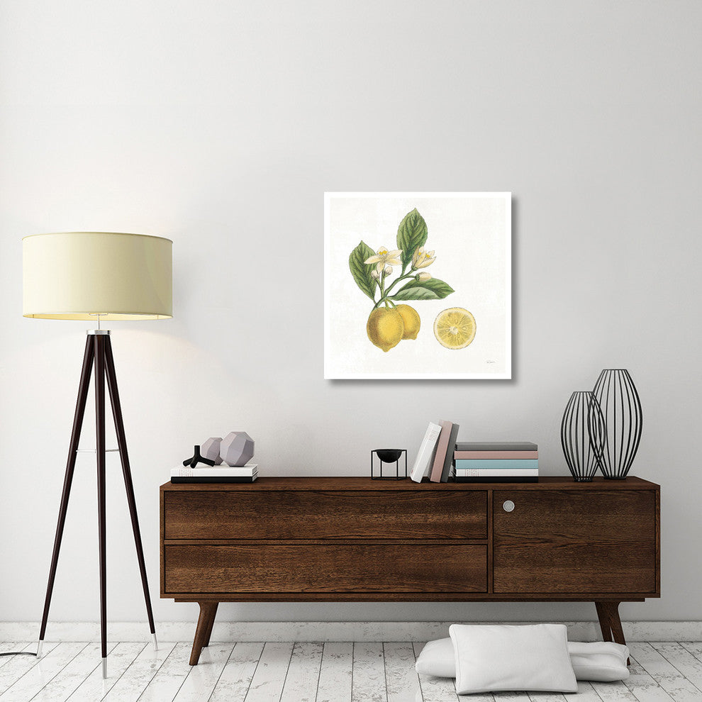 "Classic Citrus I" Digital Paper Print by Sue Schlabach, 32"x32"