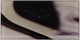 3"x6" Upscale Designs Custom Glass Wall Tile, Set of 64