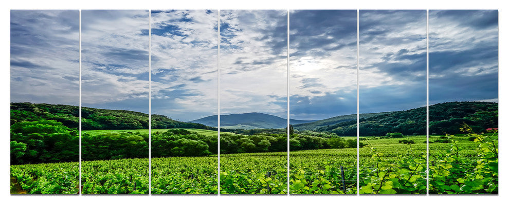 Thunderstorm Weather over Vineyards, Landscape Canvas Print, 83"x32", 7 Panels