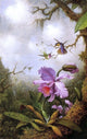 Martin Johnson Heade Two Hummingbirds and a Pink Orchid Wall Decal