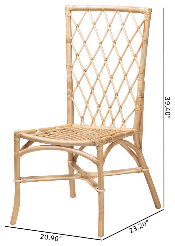 Doria Modern Bohemian Natural Brown Rattan 2-Piece Dining Chair Set