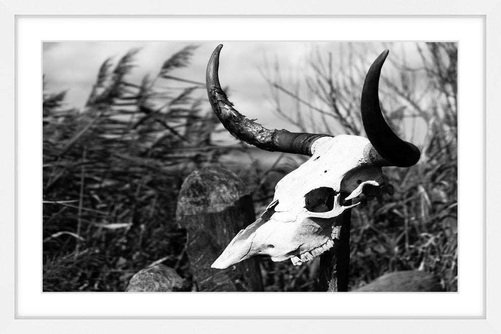 Marmont Hill, "Skull in the Grass" Framed Painting Print, 30x20