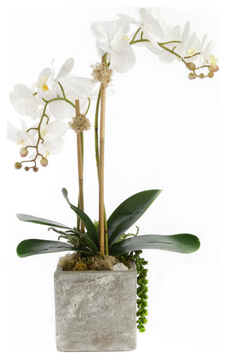 Real Touch White Orchid with Geode Floral Arrangement