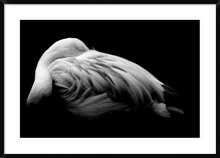 "Be Me" Framed Digital Print by Summer Ice, 44x32"