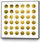 "Golden Spots White" CF Print, 20"x20"