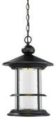 Genesis Collection Outdoor LED Chain Hung Light in Black Finish