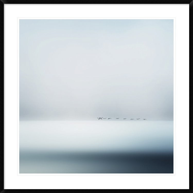 "Wild Geese" Framed Digital Print by Piet Flour, 38"x38"