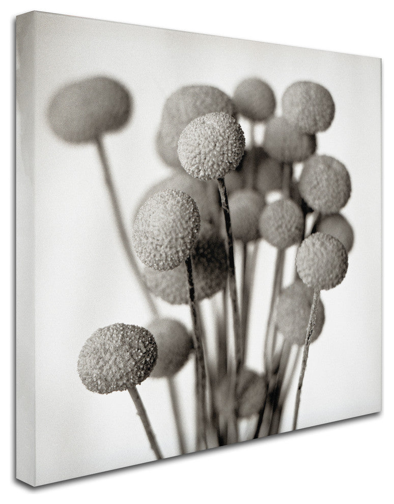 Alan Blaustein ''Florison 33'' Canvas Art, 18x18