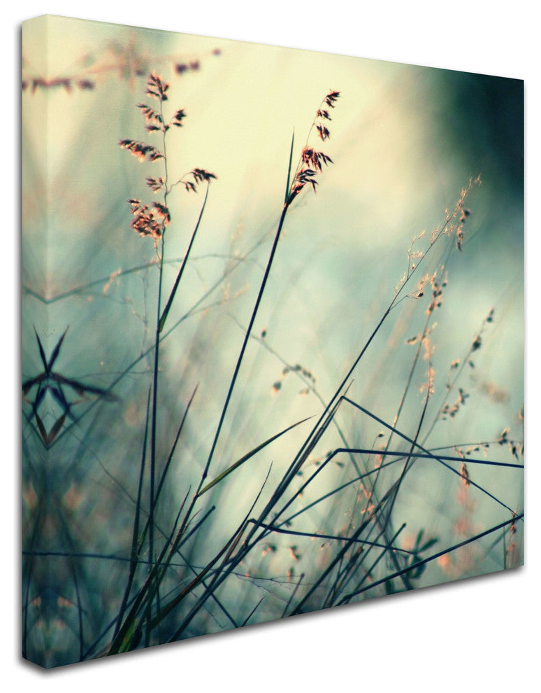 'About Hope' Canvas Art by Beata Czyzowska Young