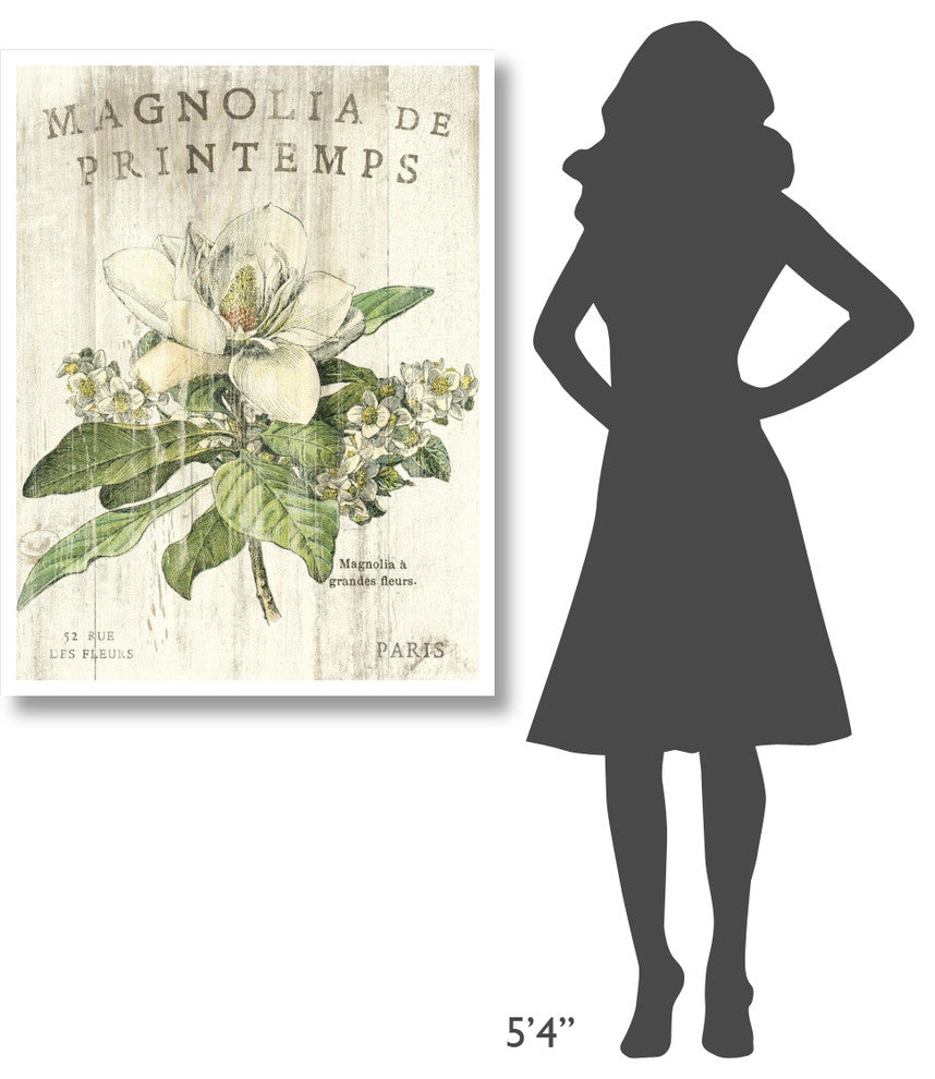 "Magnolia de Printemps" Digital Paper Print by Sue Schlabach, 32"x42"