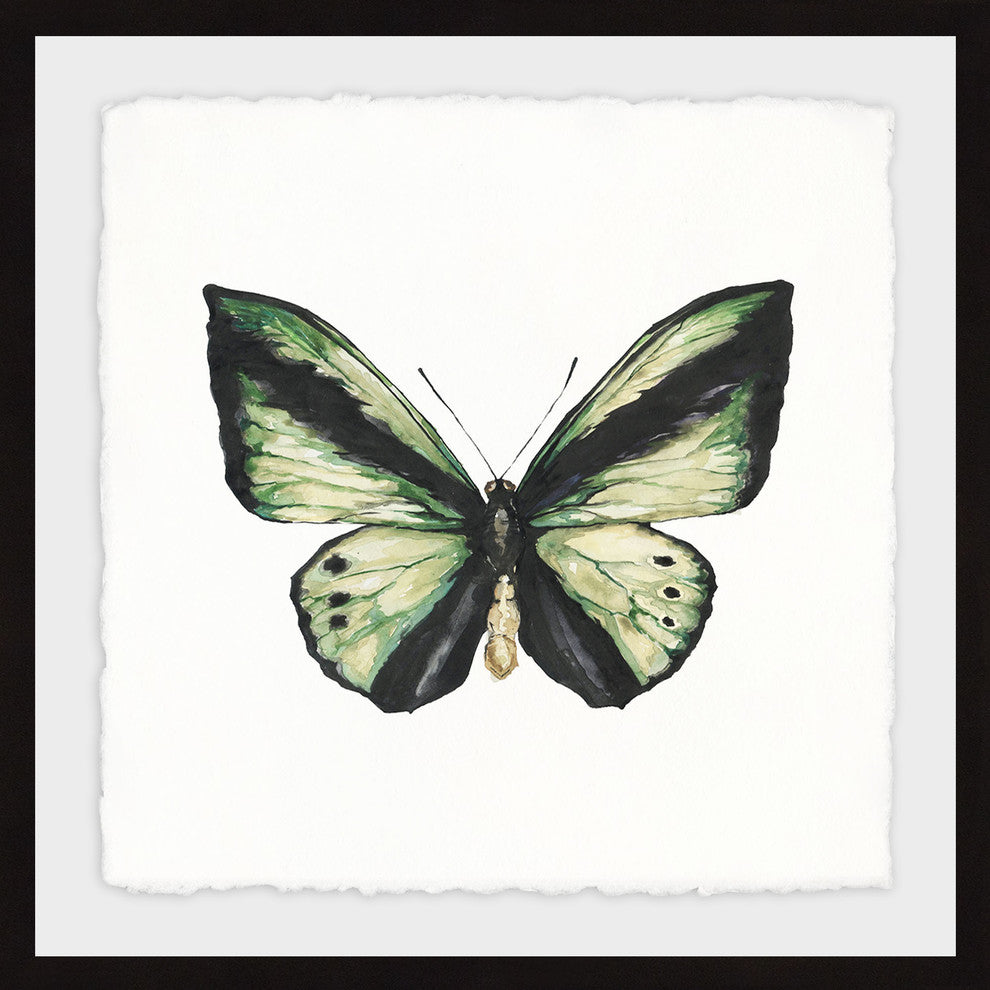 "Deep Green Wings" Framed Painting Print, 18"x18"