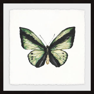 "Deep Green Wings" Framed Painting Print, 18"x18"