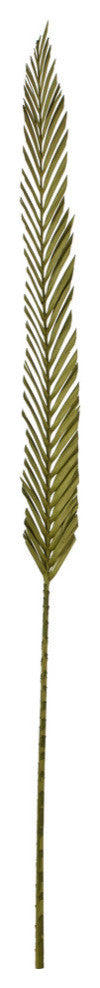 Vickerman 38-48" Basil Coco Palm Designer Cut, 6 stems, Dried