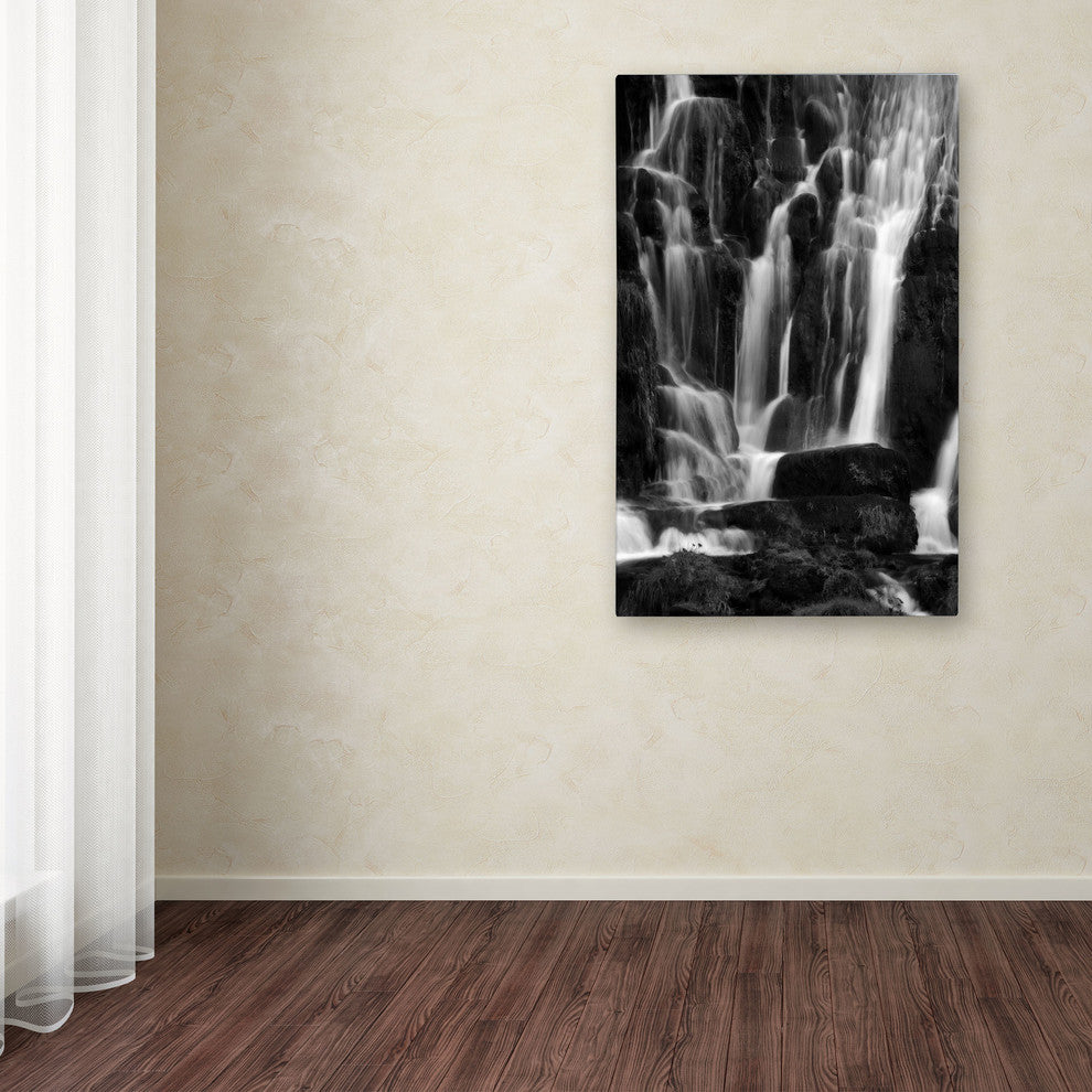 ''White Waterfall'' Canvas Art by Philippe Sainte-Laudy