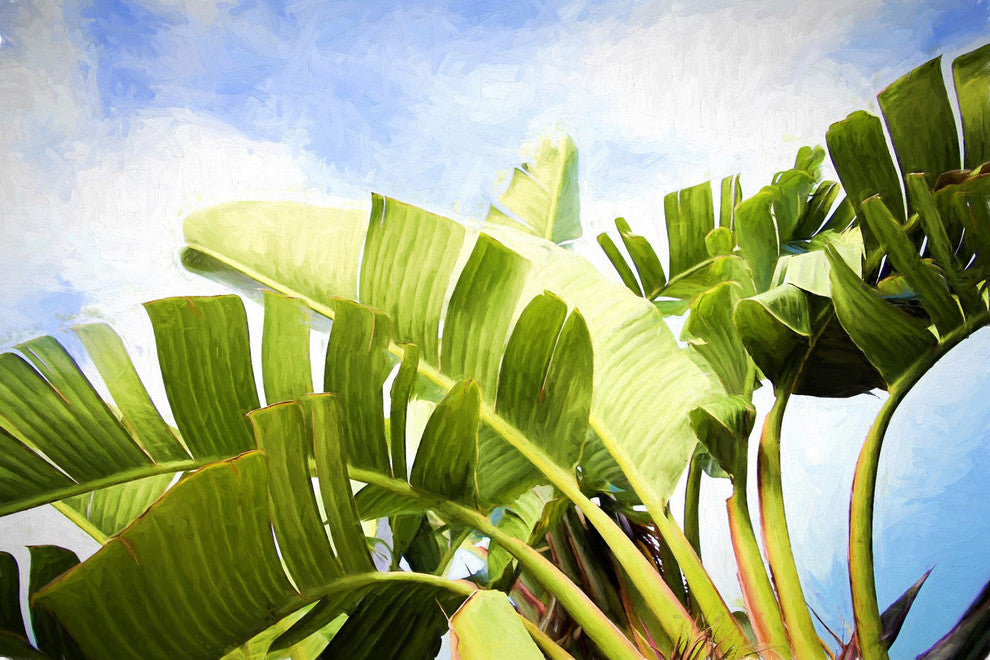 "Tropical Charm" by Sylvia Cook Painting Print Wrapped Canvas, 60x40